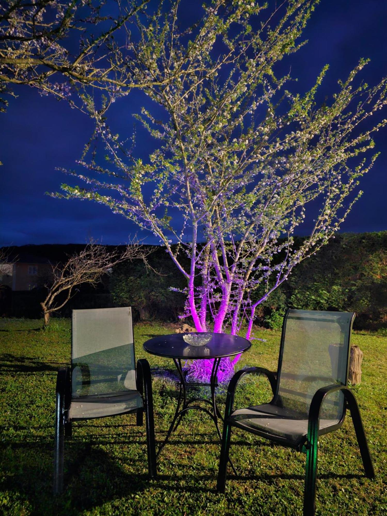 Apartamentos Castello Cartavio Εξωτερικό φωτογραφία