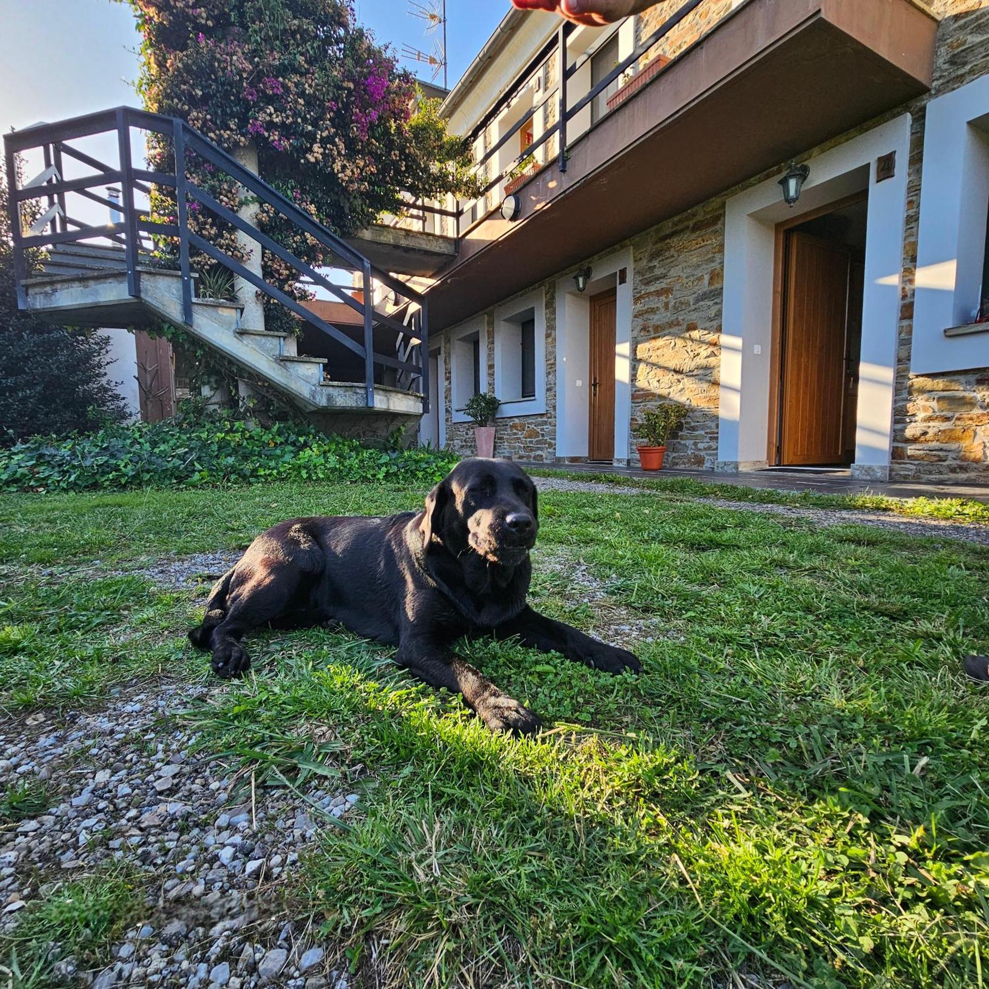 Apartamentos Castello Cartavio Εξωτερικό φωτογραφία